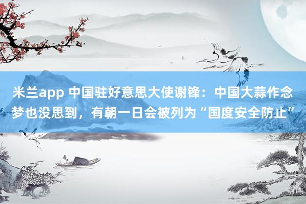 米兰app 中国驻好意思大使谢锋：中国大蒜作念梦也没思到，有朝一日会被列为“国度安全防止”