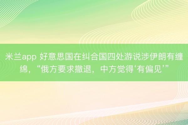 米兰app 好意思国在纠合国四处游说涉伊朗有缠绵，“俄方要求撤退，中方觉得‘有偏见’”